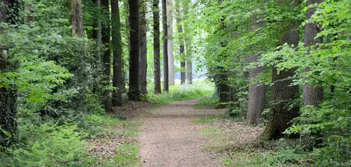 salland-placeholder-09